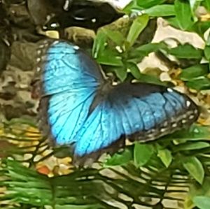 Meet your Posher, Anika